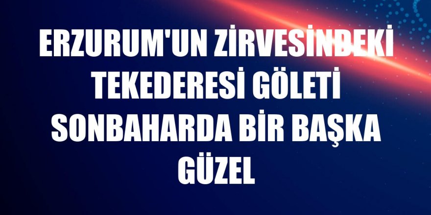 Erzurum'un zirvesindeki Tekederesi Göleti sonbaharda bir başka güzel