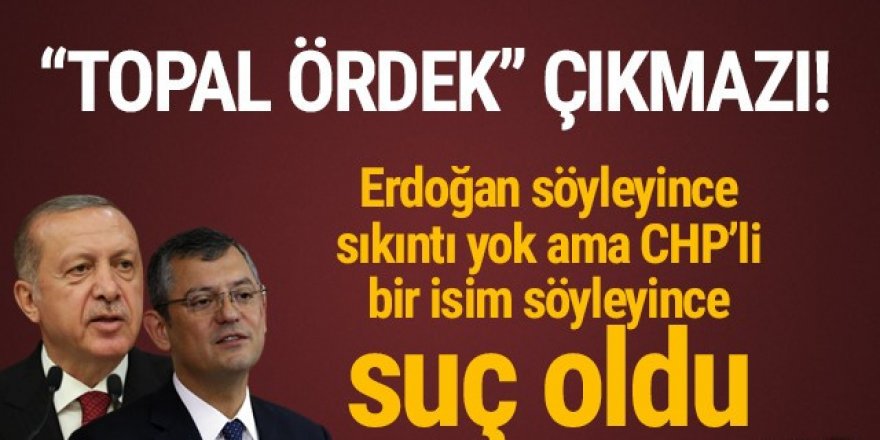 Erdoğan'ın kurduğu cümleyi CHP'li Özel kurunca...