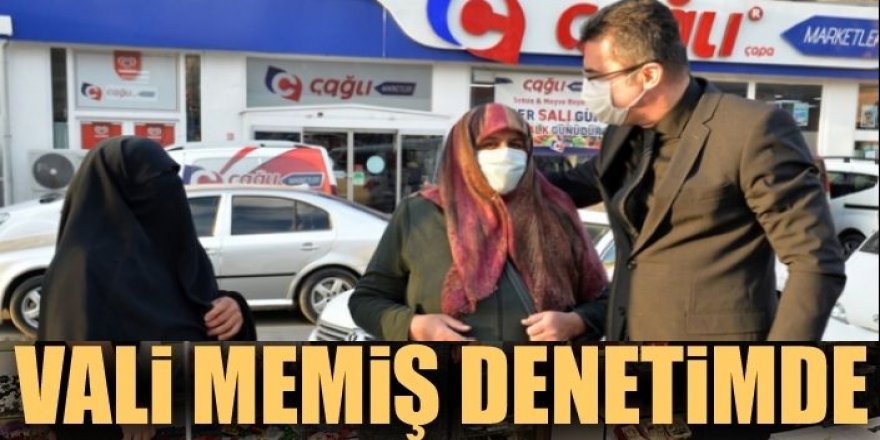 Vali Memiş denetime çıktı...