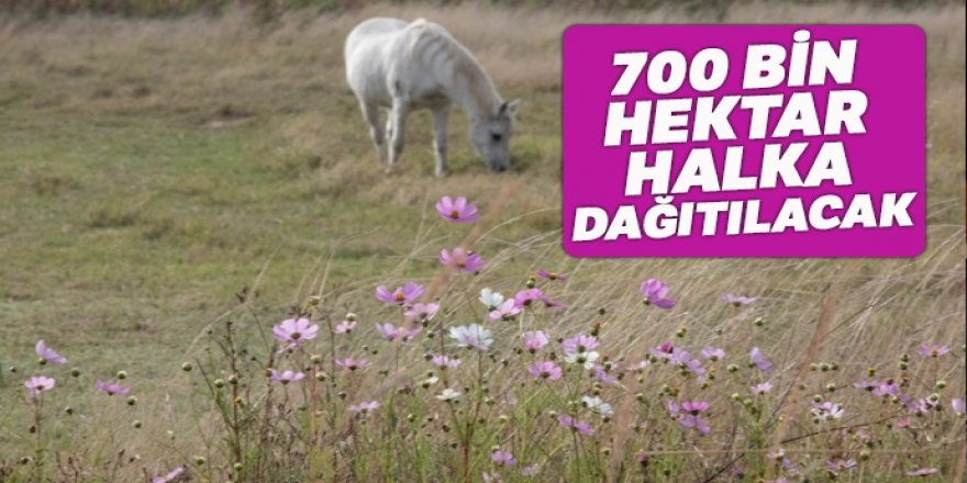 700 bin hektar halka dağıtılacak