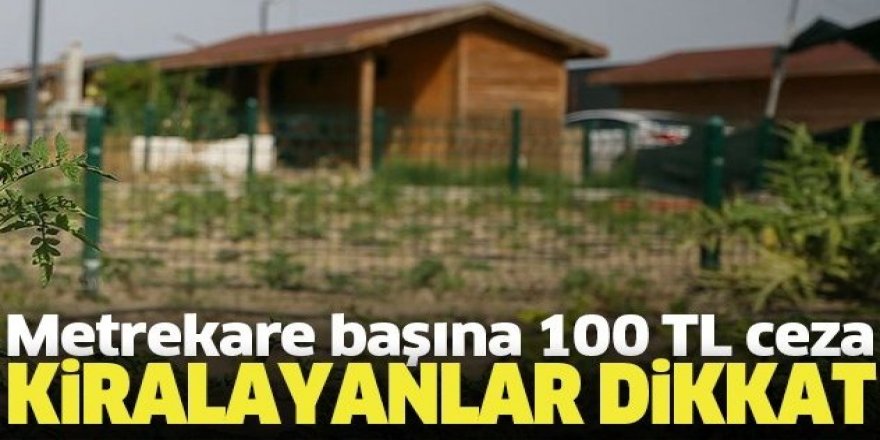 Metrekare başına 100 lira ceza! Kiralayana da verilecek