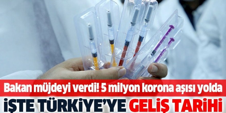 5 milyon doz aşı aralıkta Türkiye'de