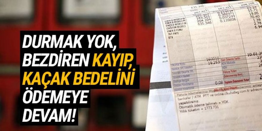 Elektrikte kayıp kaçak bedeli 5 yıl daha uzatılıyor