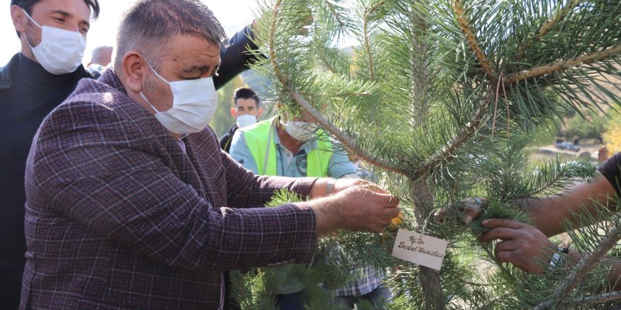 Palandöken Belediyesi hayatını kaybeden sağlık çalışanları adına ağaç dikti