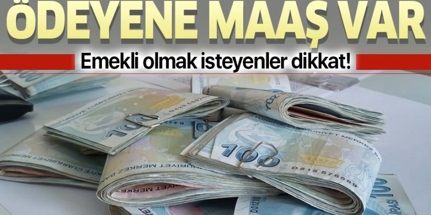 Emekli olmak isteyen vatandaşlar dikkat!