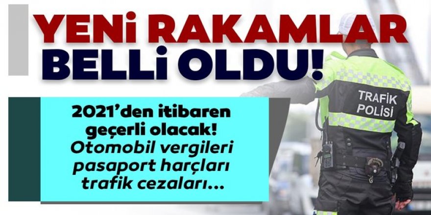 Vergi ve cezalara 2021 yılında gelecek zam oranı belli oldu