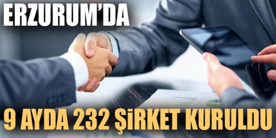 Erzurum'da 9 ayda 232 şirket kuruldu
