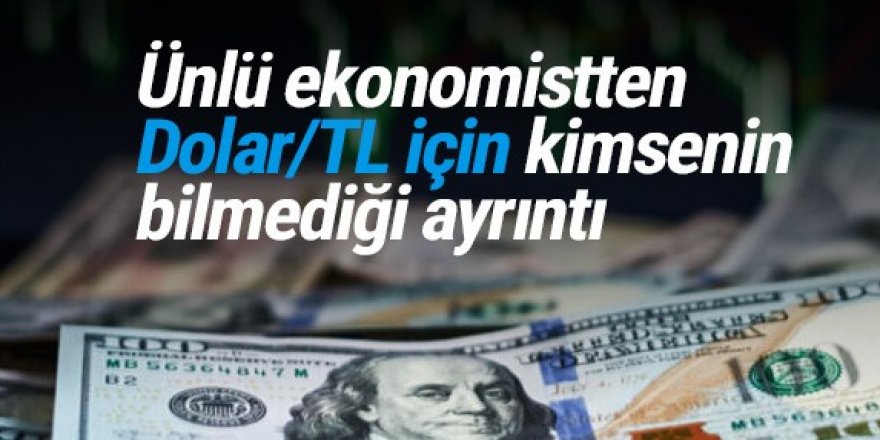 Dolar ve TL ile ilgili hiç kimsenin bilmediği bir veri!