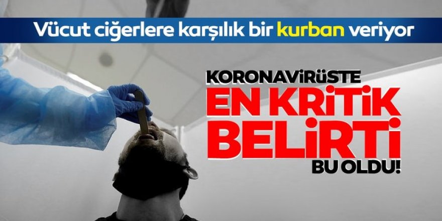 Bakan Koca'nın uyardığı gerçek bilimsel olarak açıklandı