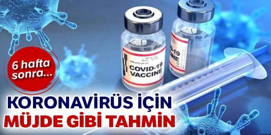 Koronavirüs için müjde gibi tahmin