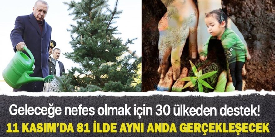 11 Kasım'da 81 ilde aynı anda gerçekleşecek