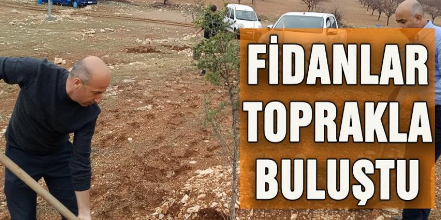 Doğu Anadolu'da fidanlar toprakla buluştu