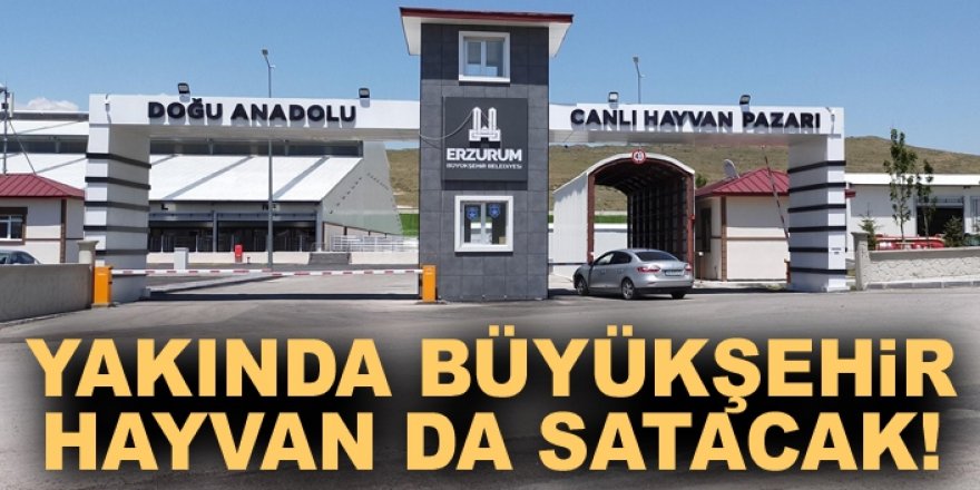 Yakında Büyükşehir hayvan da satacak!