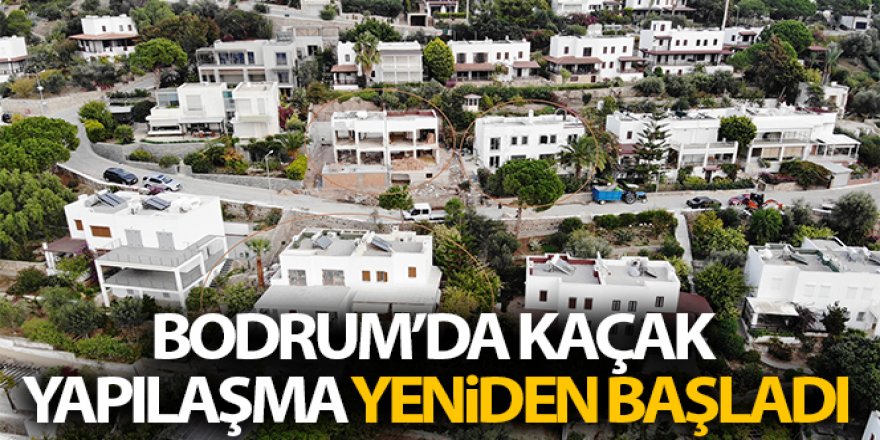 Bodrum'da kaçak yapılaşma yeniden başladı