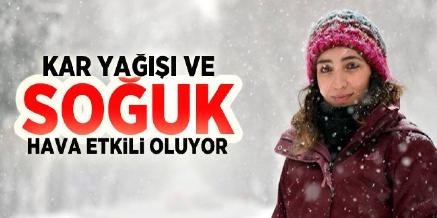 Erzurum’da soğuk hava ve sis etkili oluyor