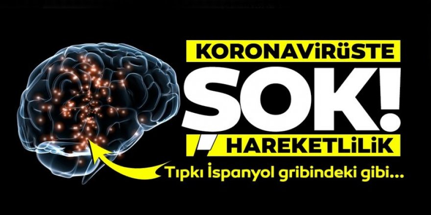 Koronavirüste korkutan hareketlilik!