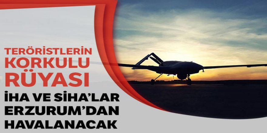 Erzurum'dan havalanacaklar...