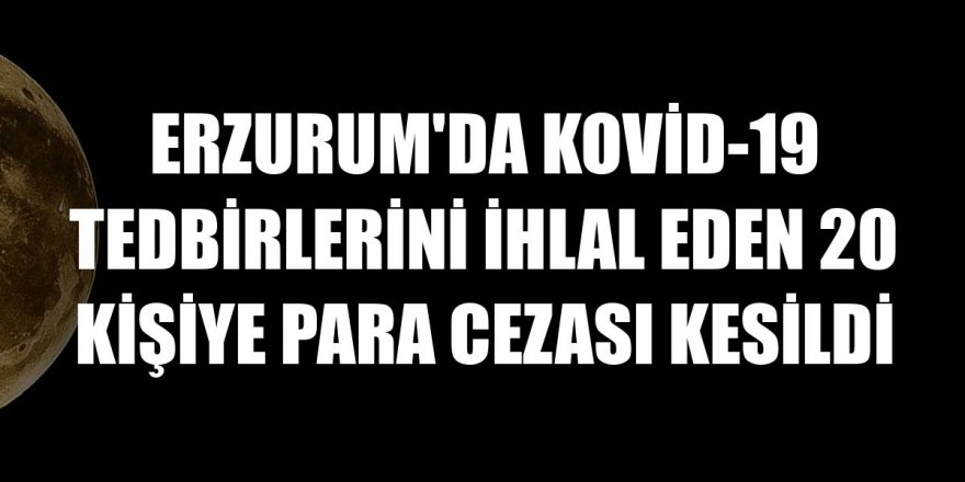 Erzurum'da Kovid-19 tedbirlerini ihlal eden 20 kişiye para cezası kesildi