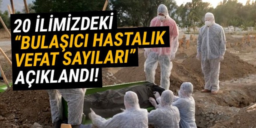 20 şehirdeki ''bulaşıcı hastalıktan vefat sayıları'' açıklandı!