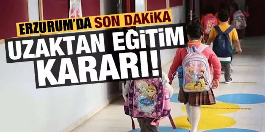 Erzurum'da son dakika uzaktan eğitim kararı!