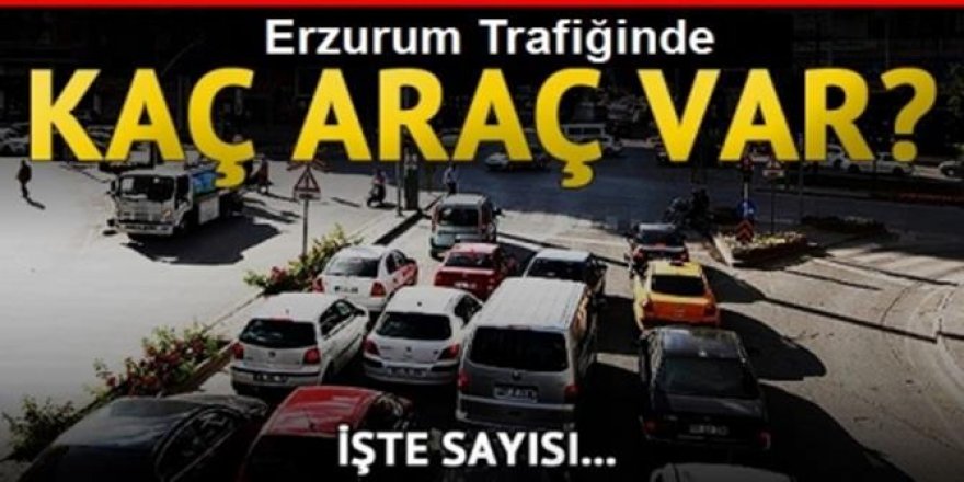 Erzurum araç sayısı artış seyrinde