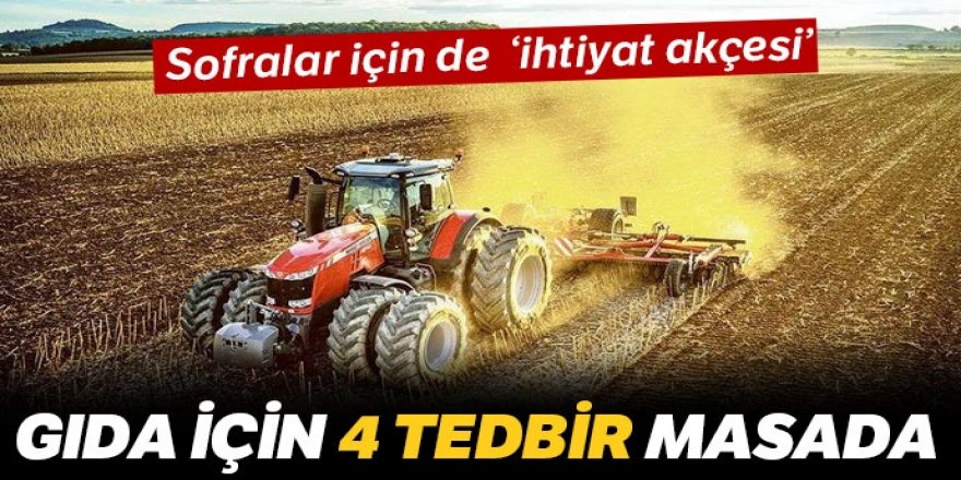 Gıda için 4 tedbir masada