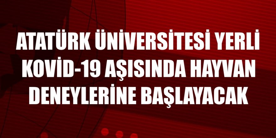 Atatürk Üniversitesi yerli Kovid-19 aşısında hayvan deneylerine başlayacak