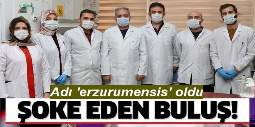 Yeni bakteri cinsi ve türü keşfedildi