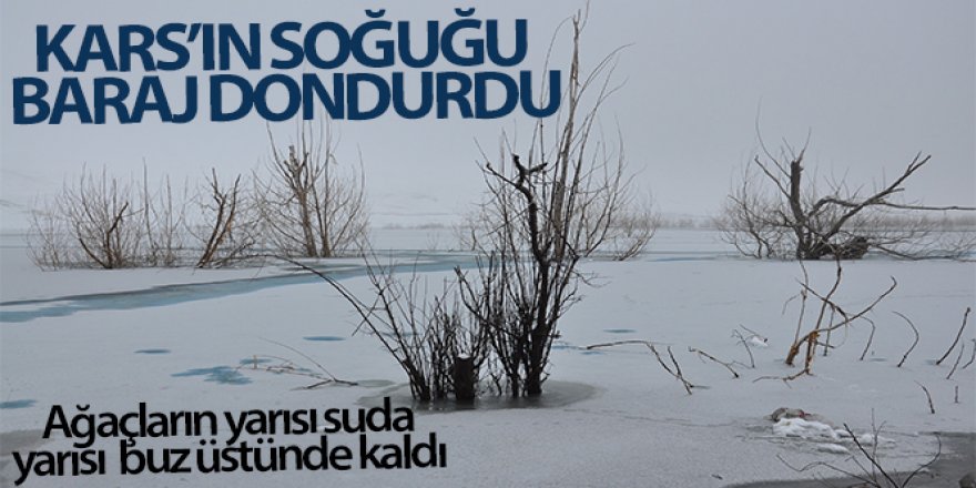 Kars'ın soğuğu baraj dondurdu