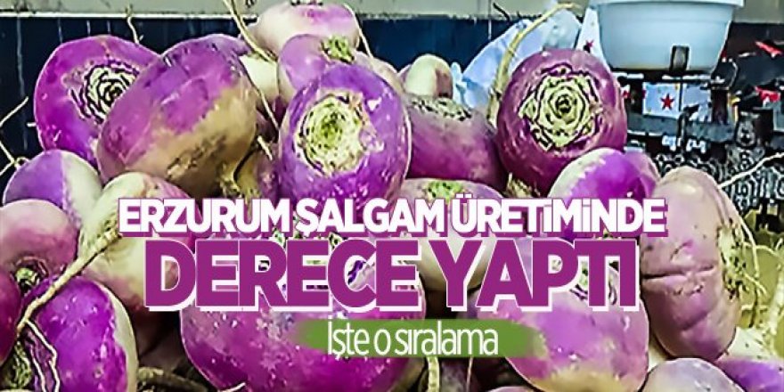 Erzurum şalgam üretiminde Türkiye 2'ncisi