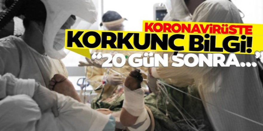 Koronavirüste korkutan bilgi: 20 gün sonra...