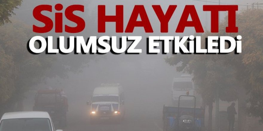 Doğu Anadolu'da kar ve sis yaşamı olumsuz etkiledi