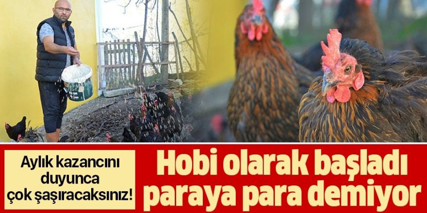 Hobi olarak başladığı tavukçulukta 3 bin hayvana ulaştı!