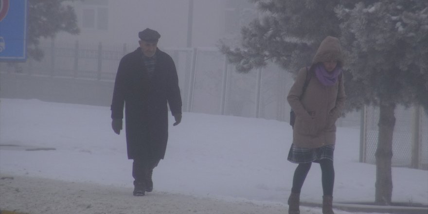 Erzurum ile Ağrı'da soğuk hava ve sis etkili oldu