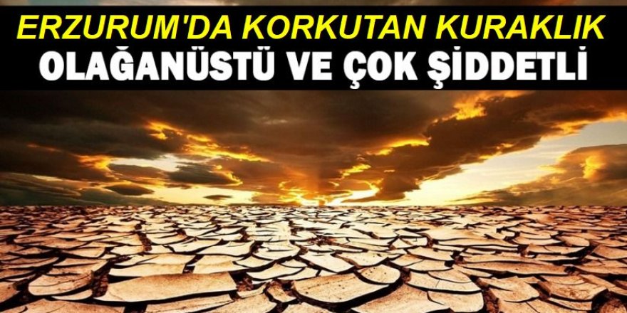 Erzurum'da korkutan kuraklık