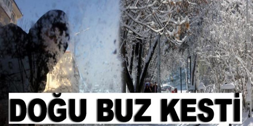 Doğu Anadolu buz kesti