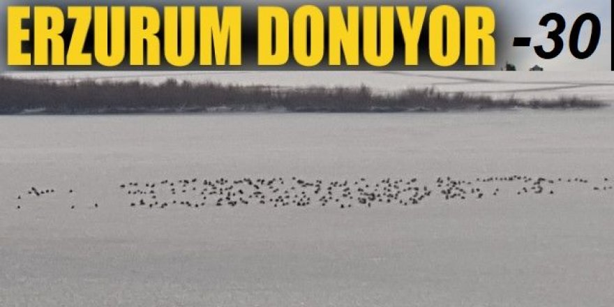 Karasu Nehri ve HES Baraj Göleti dondu: -30