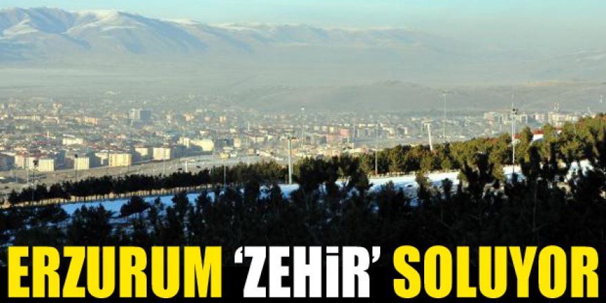 Erzurum’da hava kirliliği