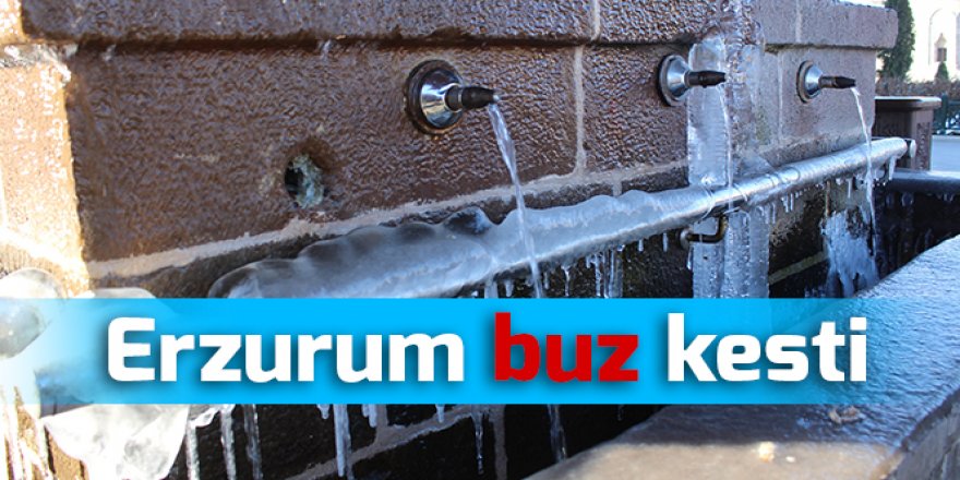 Erzurum'da dondurucu soğuklar etkisini sürdürüyor