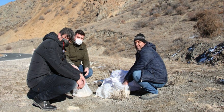 Oltulu hayvan severler doğadaki kuşlara yem bıraktılar