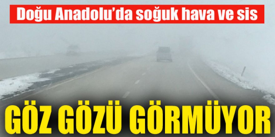 Doğu Anadolu'da soğuk hava ve sis etkili oldu