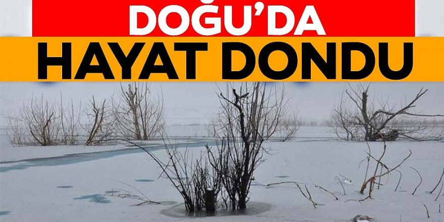 Doğu Anadolu'da dondurucu soğuklar yaşamı zorlaştırıyor