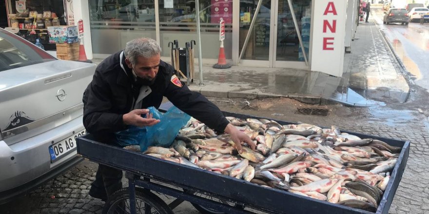 Çoruh Balığı tezgahta yerini aldı