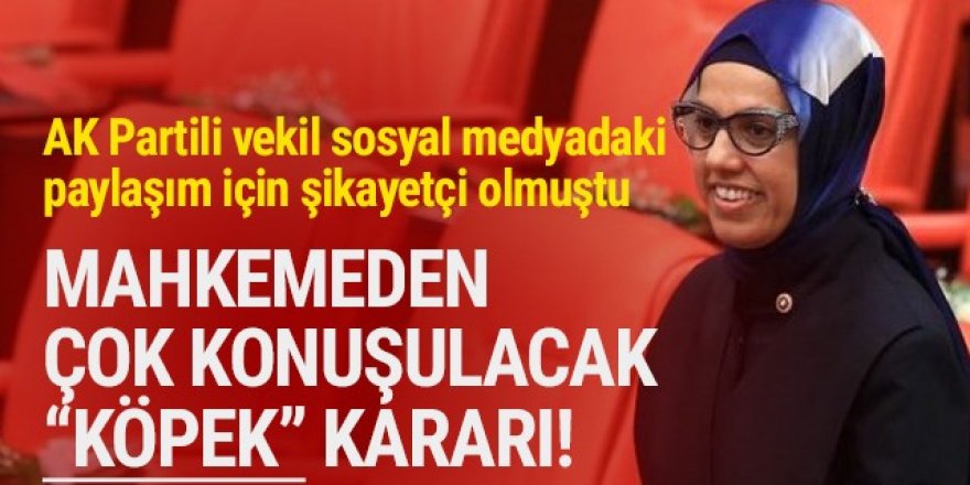 Mahkemeden çok konuşulacak karar: ''Köpek'' hakaret sayılmadı