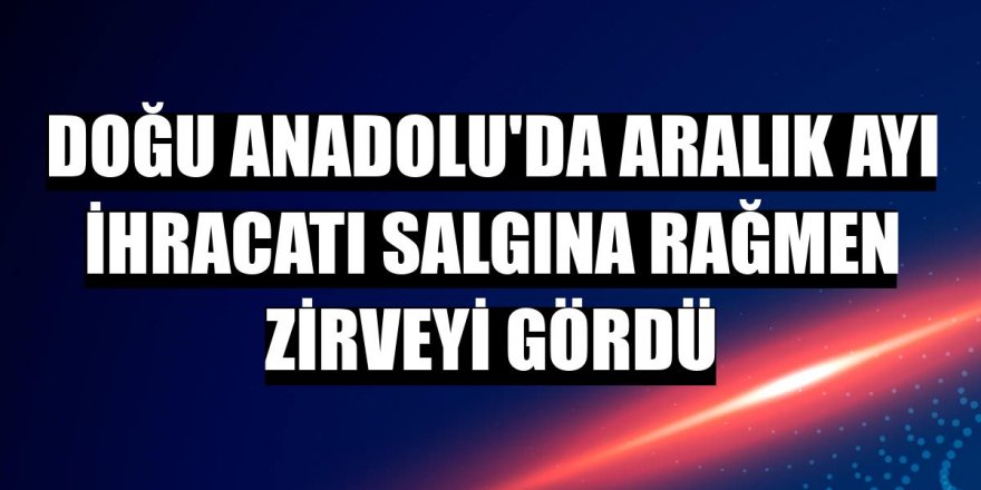 Doğu Anadolu'da aralık ayı ihracatı salgına rağmen zirveyi gördü