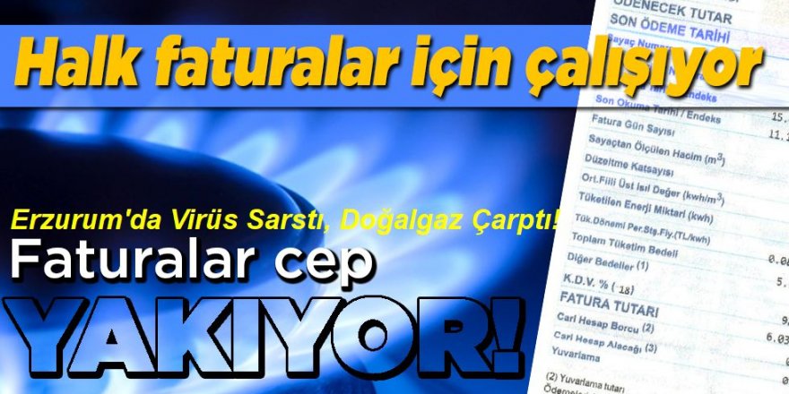 Erzurum'da yaşayanları Virüs Sarstı, Doğalgaz Çarptı!