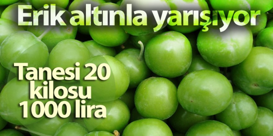 Erik altınla yarışıyor: Tanesi 20, kilosu 1000 lira