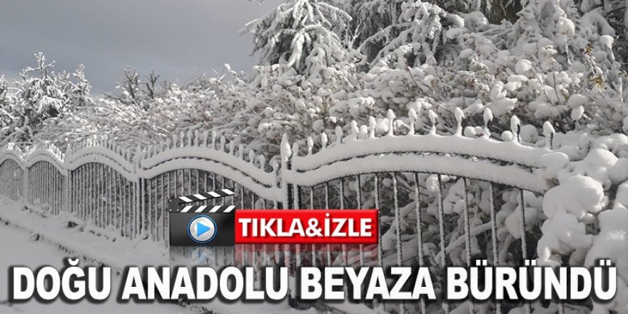 Doğu Anadolu kar yağışıyla beyaza büründü