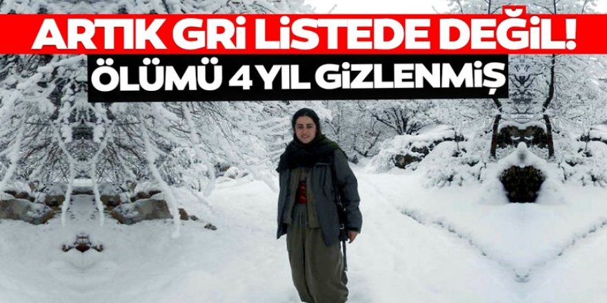 PKK, Rukiye Çekiç'in ölümünü 4 yıl gizlemiş!