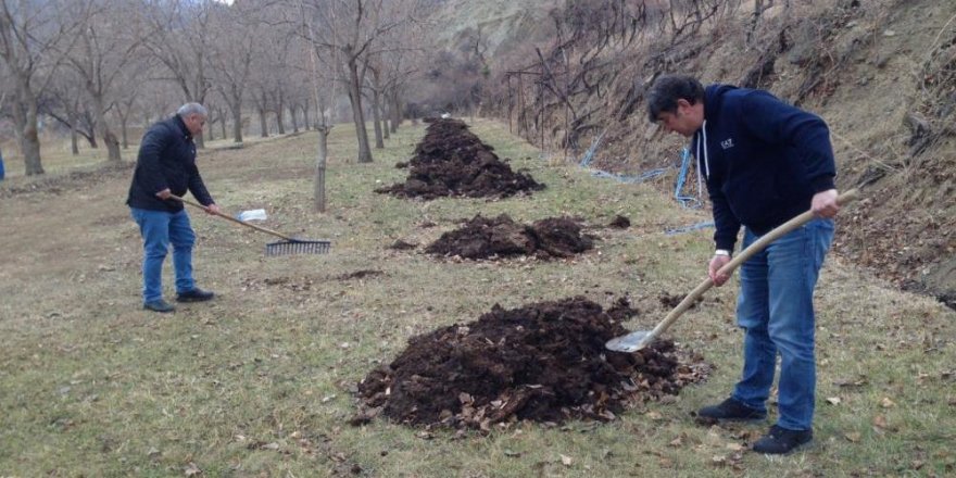 Batı illerinde kış, Oltu’da bahar havası